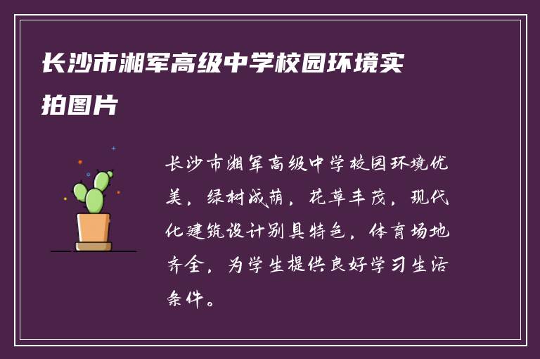 长沙市湘军高级中学校园环境实拍图片