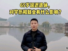 就是能做什么工作能成为大公司的白领吗