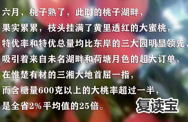 长沙金海中学复读班 初升高择校参考！长沙多所公民办高中招生录取详情汇总！