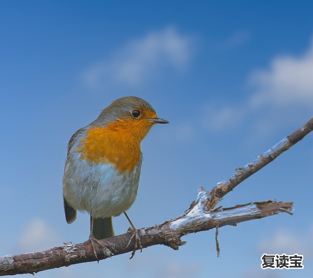 长沙金海学校复读部 长沙同升湖实验学校高三复读升学率如何