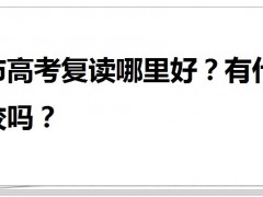 长沙市景雅高级中学复读 长沙市高考复读哪里好？有什么推荐学校吗？