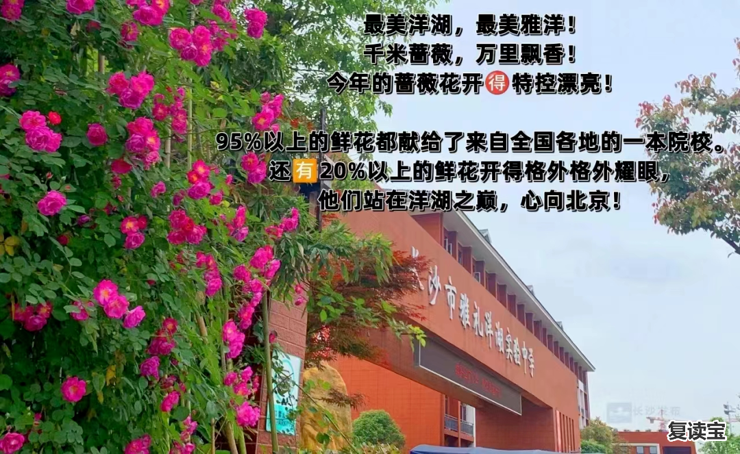 湖南长沙金海中学复读班 初升高择校参考！长沙多所公民办高中招生录取详情汇总！