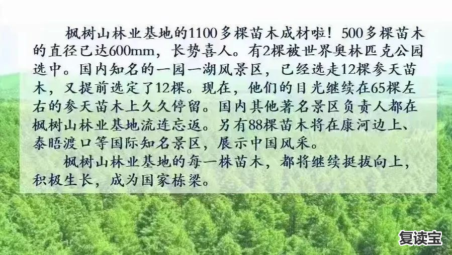 湖南长沙金海中学复读班 初升高择校参考！长沙多所公民办高中招生录取详情汇总！