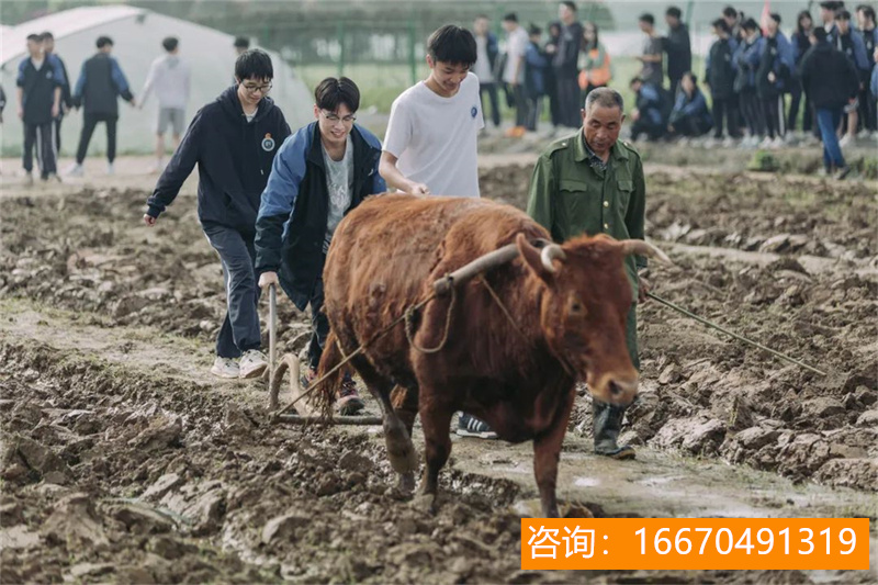 株洲师大二附中复读费用 2023湖南师大二附中收费标准是多少