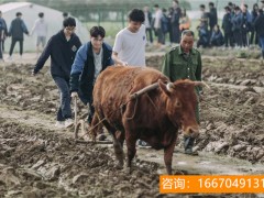 长沙师大二附中复读班学费 师大思沁新化高级中学|高复部招生简章