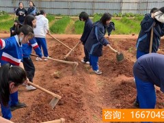 师大二附中复读班多久开学 复读？被大学录取后不去就读，“黎叔”很生气后果很严重