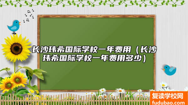 长沙玮希国际学校一年费用（长沙玮希国际学校一年费用多少）