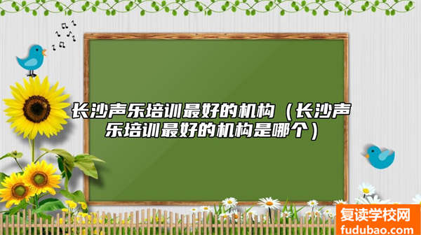 长沙声乐培训比较好的组织（长沙声乐培训比较好的组织是哪一个）